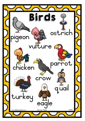 Animals Posters A3. (M)_1